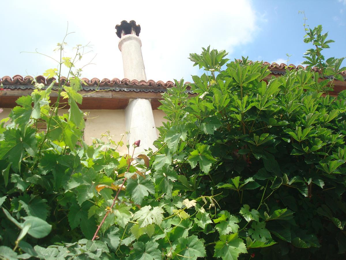 Oikia Alexandrou Traditional Inn أرنايا المظهر الخارجي الصورة